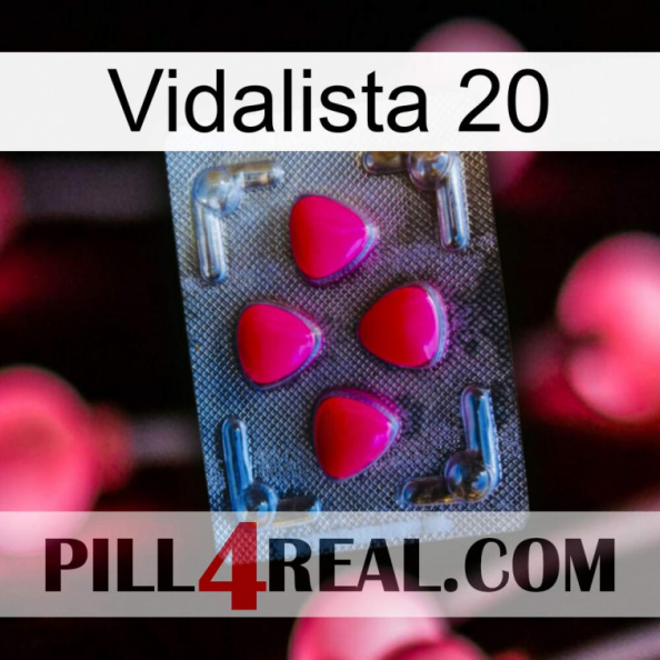 Vidalista 20 13.jpg